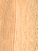 Holzmuster: Eiche