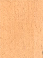 Holzmuster: Rotbuche