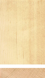 Holzmuster: Birke