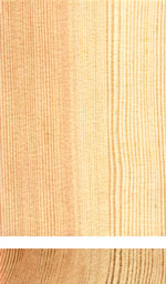 Holzmuster: Kiefer
