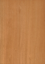 Holzmuster: Elsbeere