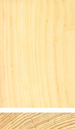 Holzmuster: Weymouthskiefer