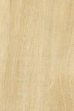 Holzmuster: Kiri / Paulownia