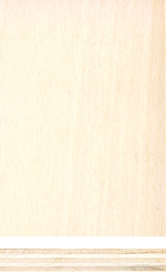 Holzmuster: Pappel Furnierplatte